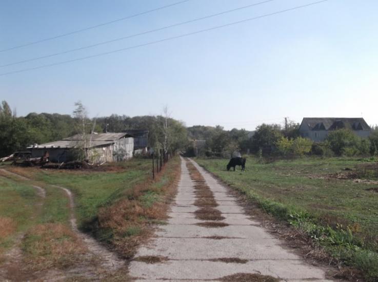 Хащеве з panoramio.com - Хащеве