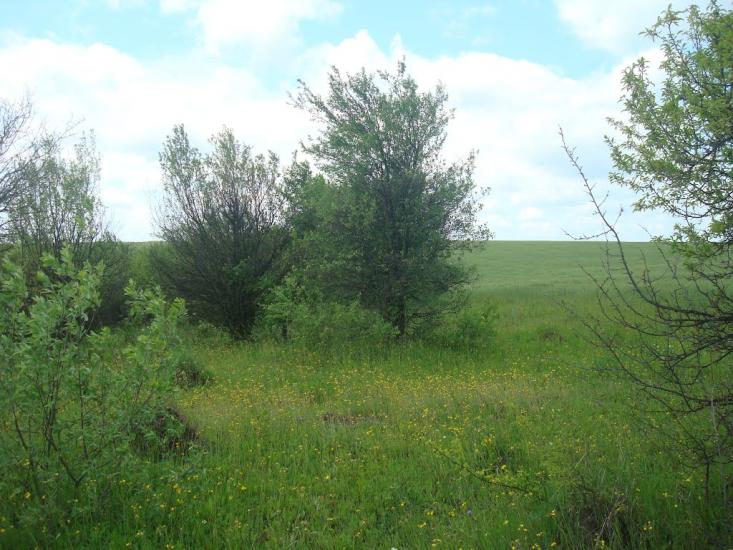 Стуфчинці з panoramio.com - Стуфчинцы