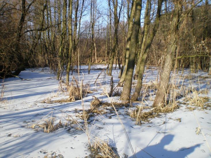 Ходорів з panoramio.com - Ходоров
