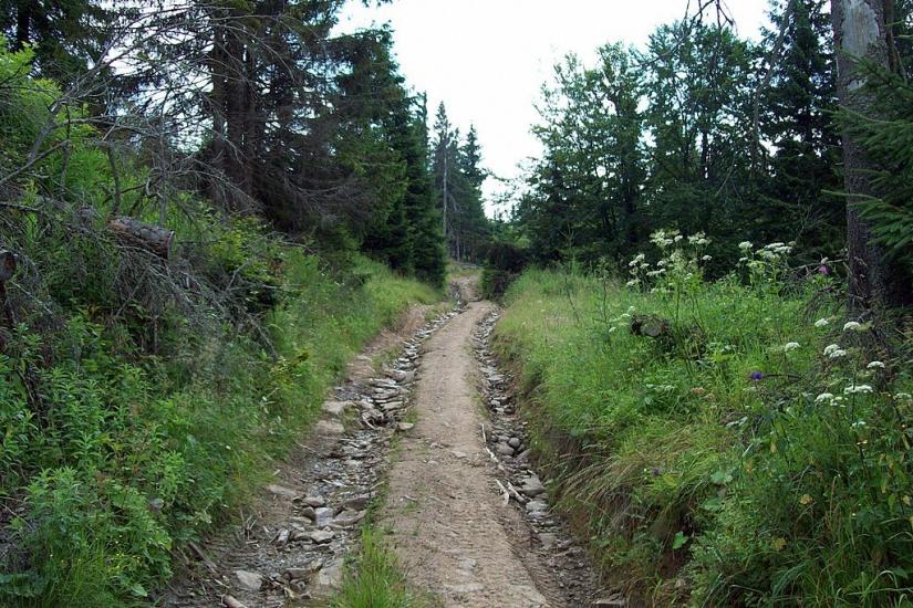 Лавочне з panoramio.com - Лавочное