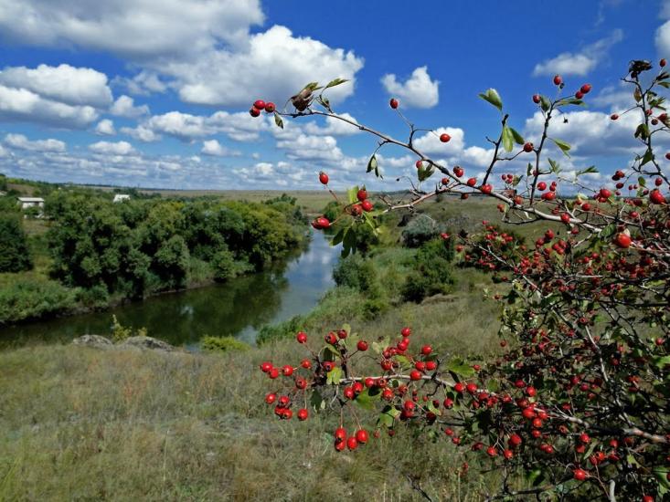 Недайвода з panoramio.com - Nedayvoda