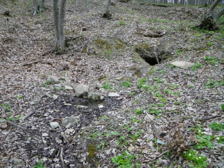 Лісне з panoramio.com - Лісне