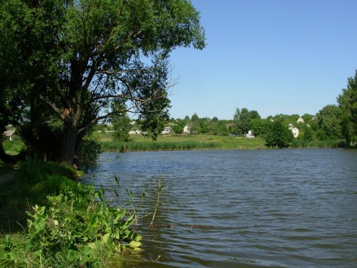 Високий з panoramio.com - Высокий