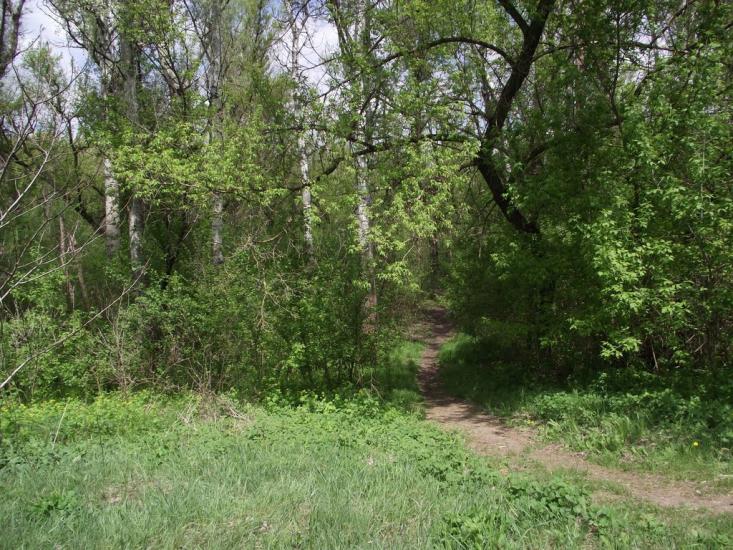 Балабине з panoramio.com - Балабино