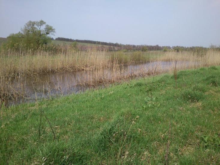 Бушеве з panoramio.com - Бушеве