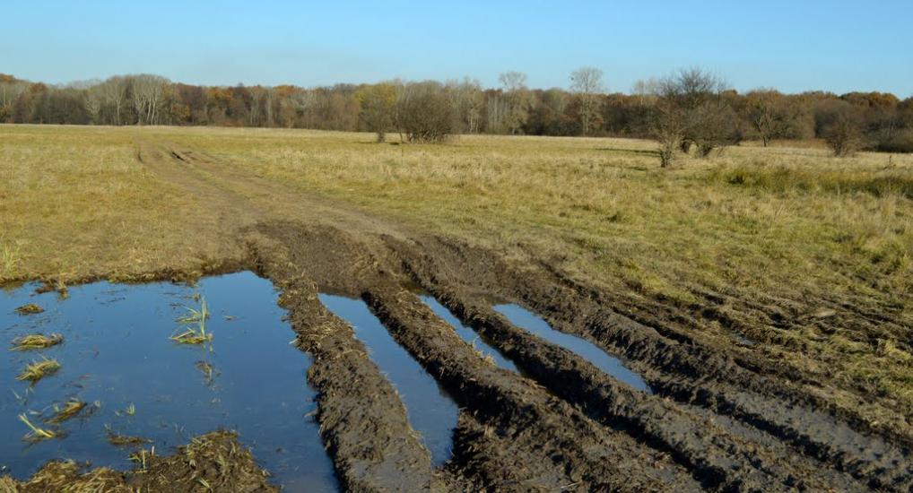 Великий Тростянець з panoramio.com - Великий Тростянец