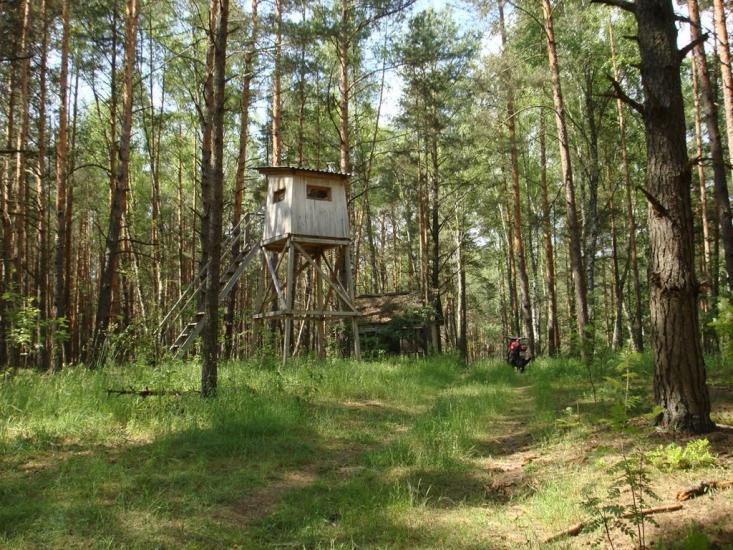 Хрипськ з panoramio.com - Khrypsk