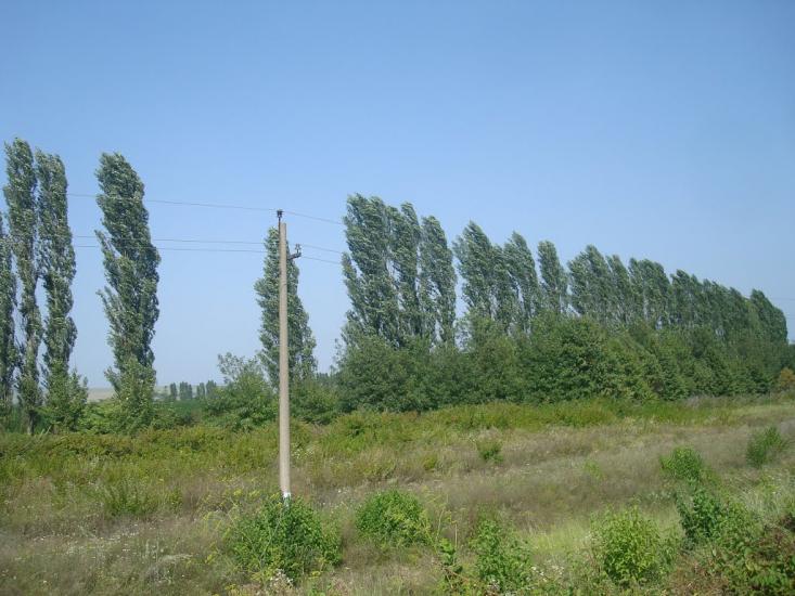 Ленківці з panoramio.com - Lenkivtsi