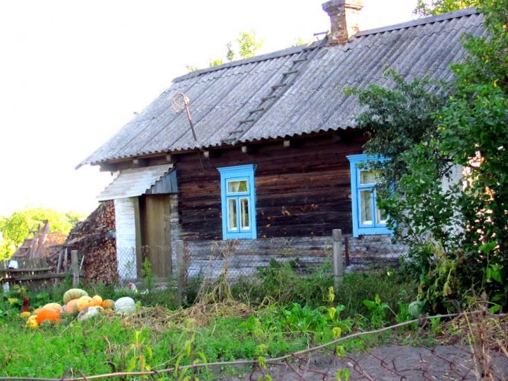 Великі Цепцевичі з panoramio.com - Великие Цепцевичи