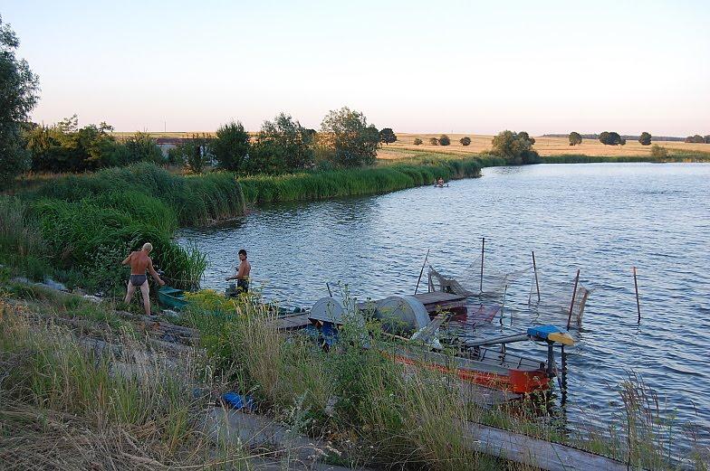 Рогізне з panoramio.com - Рогозное