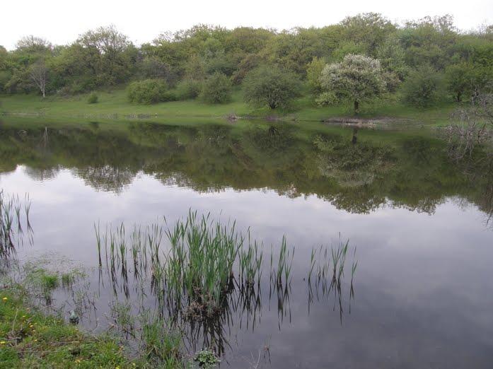 Придніпрянське з panoramio.com - Придніпрянське