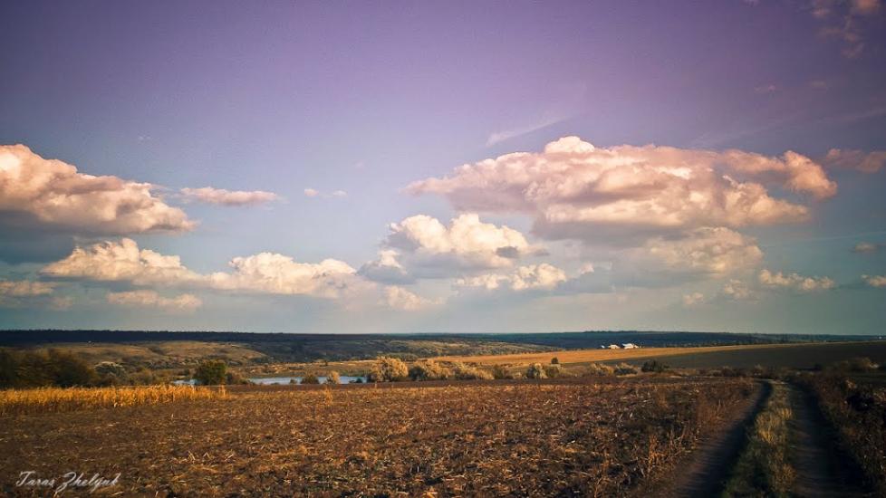 Куріпчине з panoramio.com - Kuripchyne