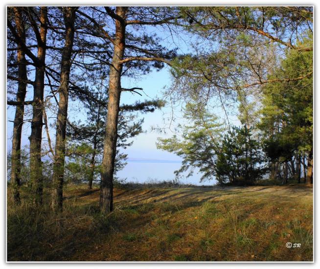 Радянське з panoramio.com - Радянське