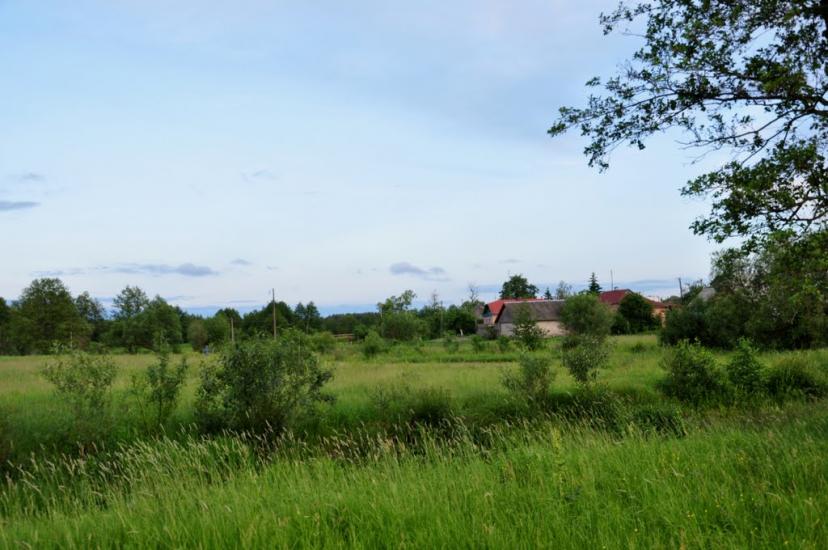 Рудня-Шпилівська з panoramio.com - Рудня-Шпилевская