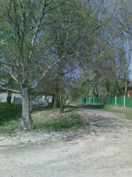 Ковалівка з panoramio.com - Ковалівка