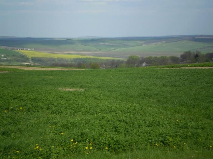 Несвоя з panoramio.com - Nesvoya