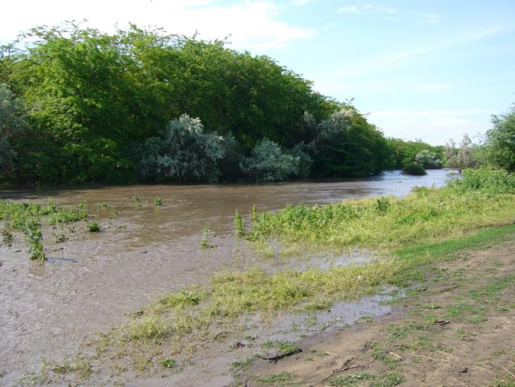 Нові Каплани з panoramio.com - Нові Каплани