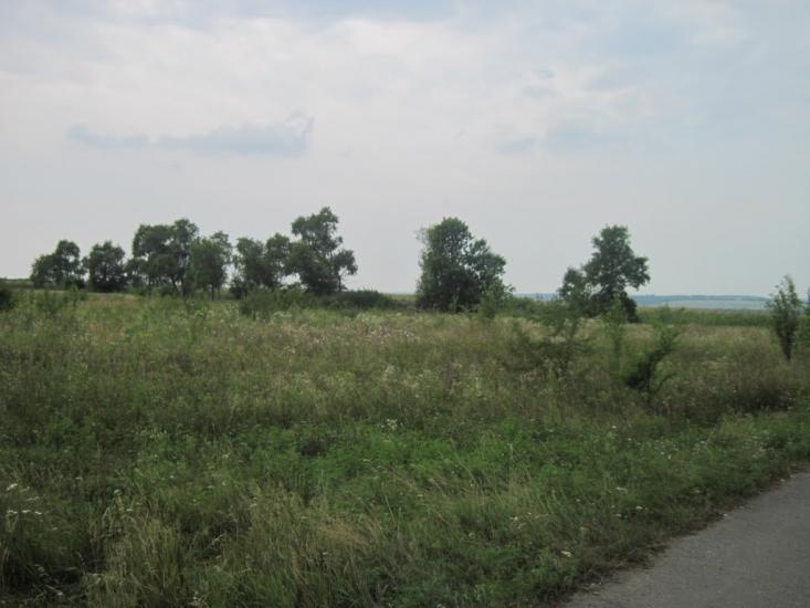 Павлиш з panoramio.com - Павлиш