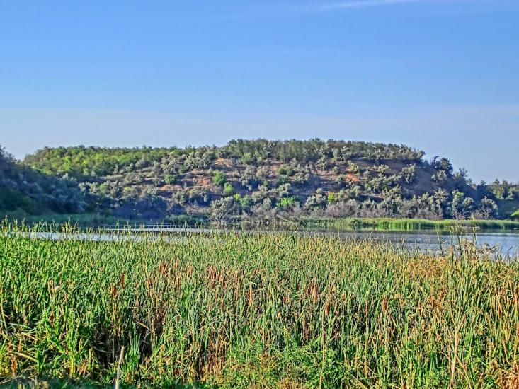 Балахівка з panoramio.com - Балаховка