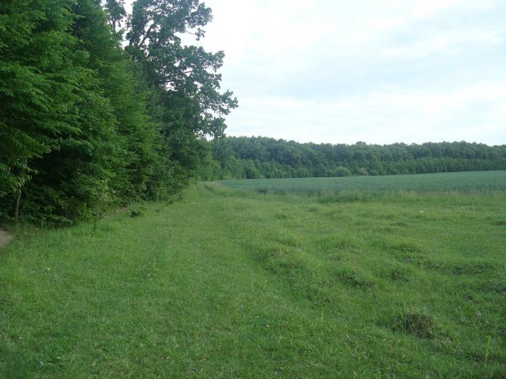 Ставчани з panoramio.com - Ставчаны