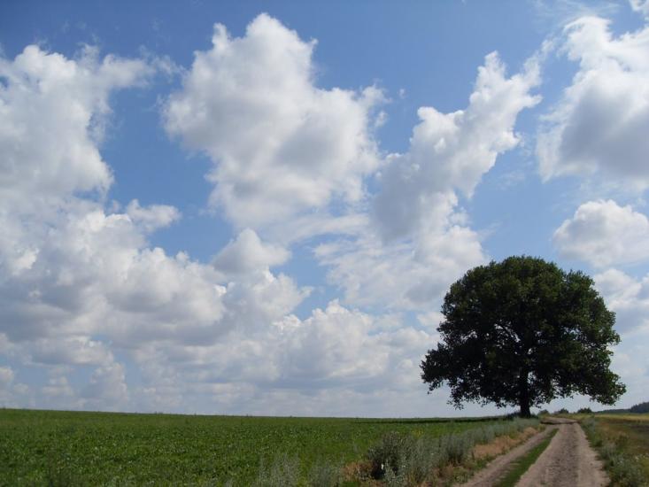 Гладківка з panoramio.com - Гладківка