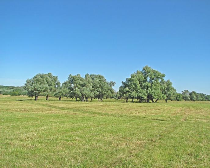 Бірки з panoramio.com - Борки