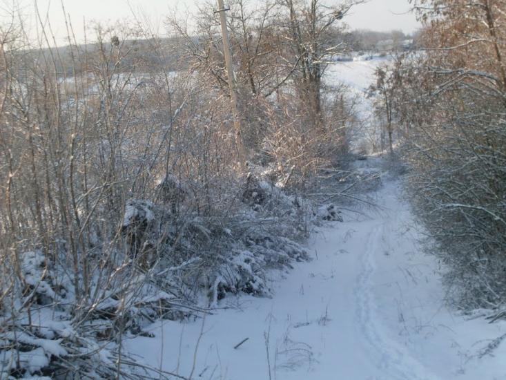 Бубнівка з panoramio.com - Бубновка
