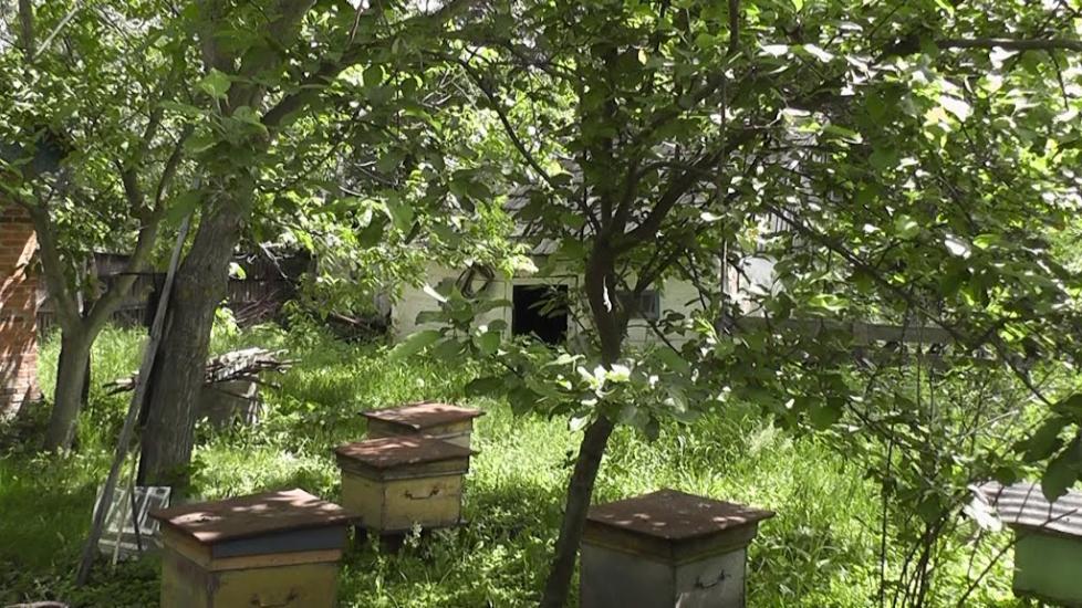 Гришки з panoramio.com - Гришки