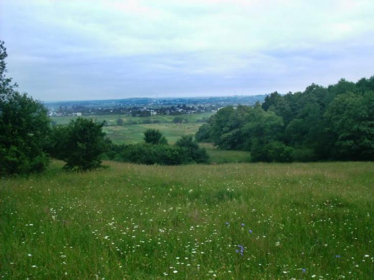 Підмихайля з panoramio.com - Подмихайло