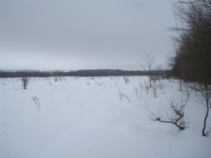 Літки з panoramio.com - Літки