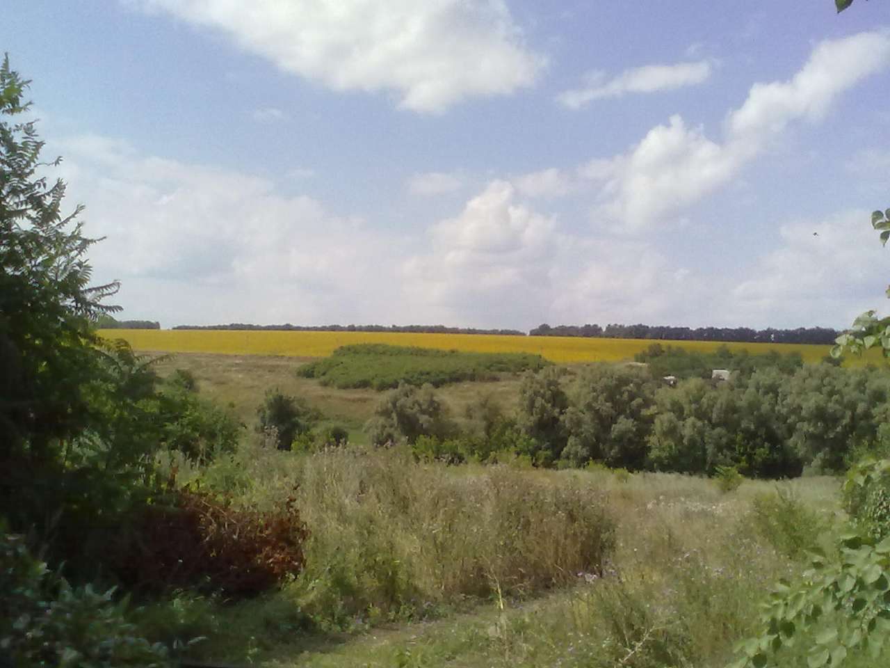 природа села - Благовещенка