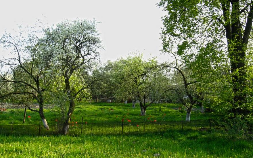 Іванів з panoramio.com - Иванов