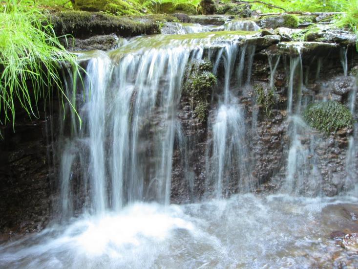 Скоморохи з panoramio.com - Скоморохи