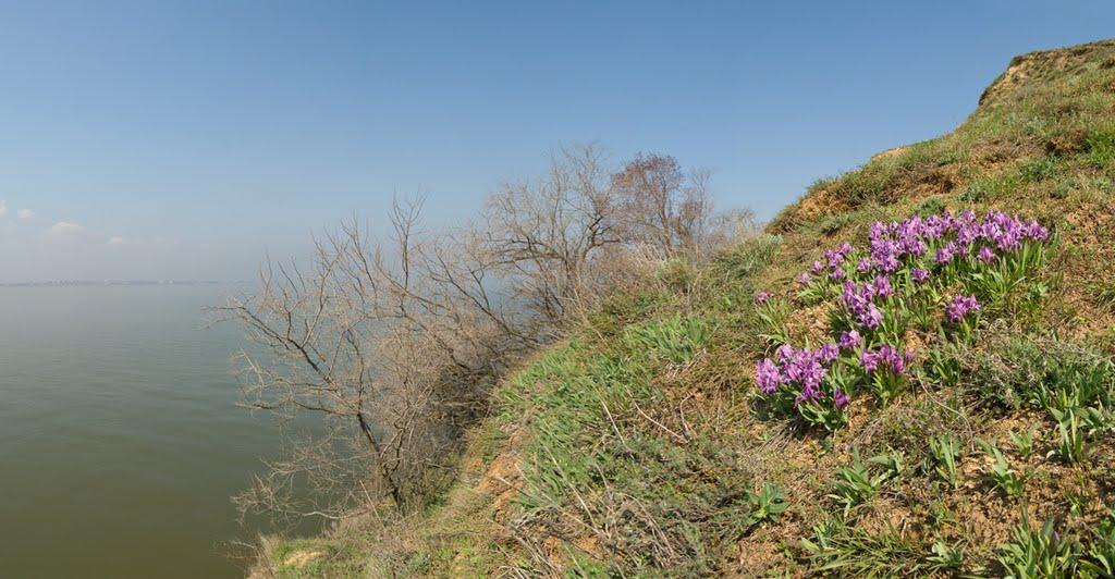 Роксолани з panoramio.com - Роксоланы