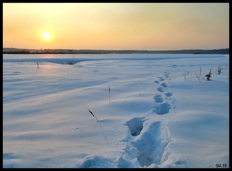 Костопіль з panoramio.com - Костополь