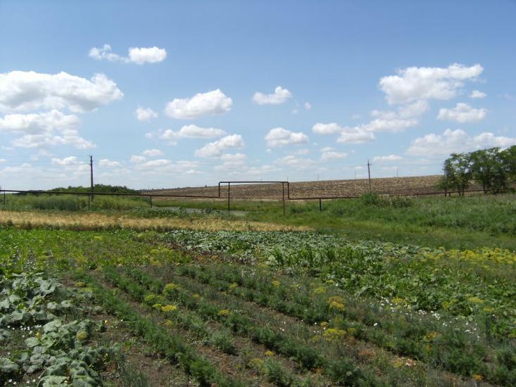 Козацьке з panoramio.com - Козацьке