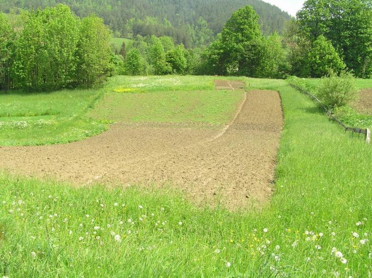 Ясениця-Замкова з panoramio.com - Ясеница-Замковая