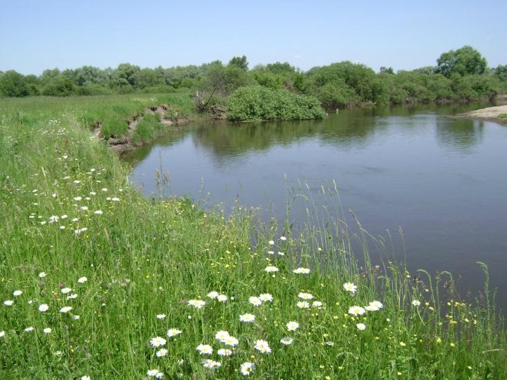 Білий Берег з panoramio.com - Белый Берег