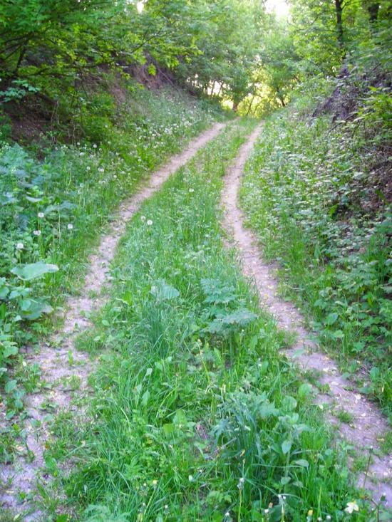 Єлизаветівка з panoramio.com - Єлизаветівка