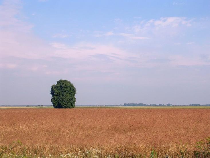 Чудви з panoramio.com - Чудвы