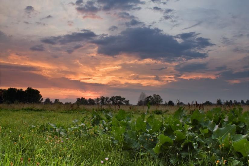 Вовчанськ з panoramio.com - Волчанск
