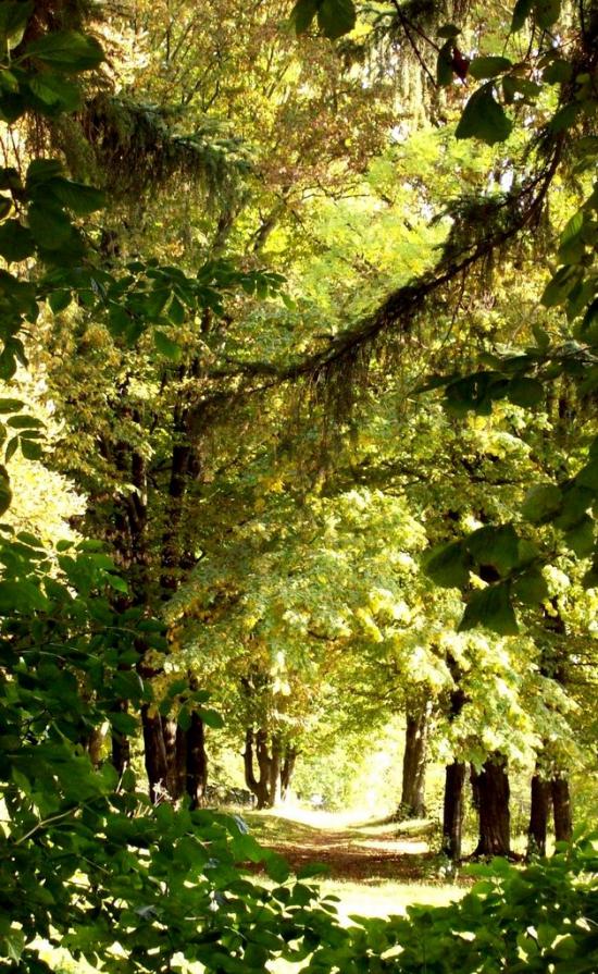 Думени з panoramio.com - Думены