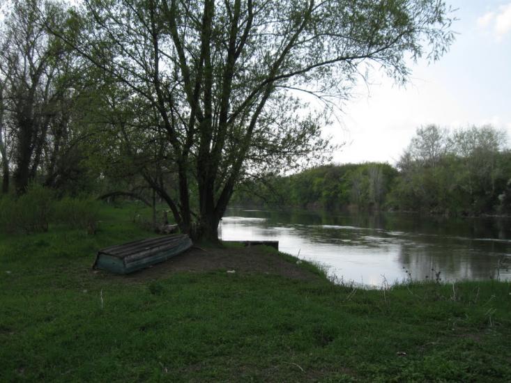 Пискунівка з panoramio.com - Pyskunivka