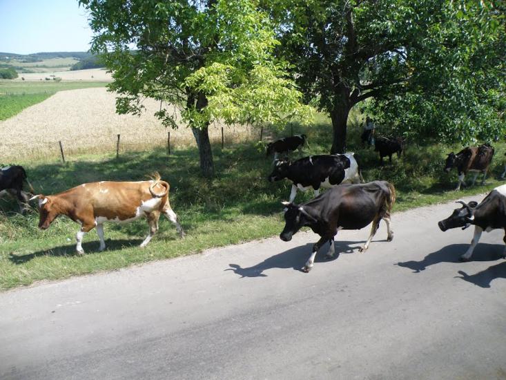 Якторів з panoramio.com - Якторів