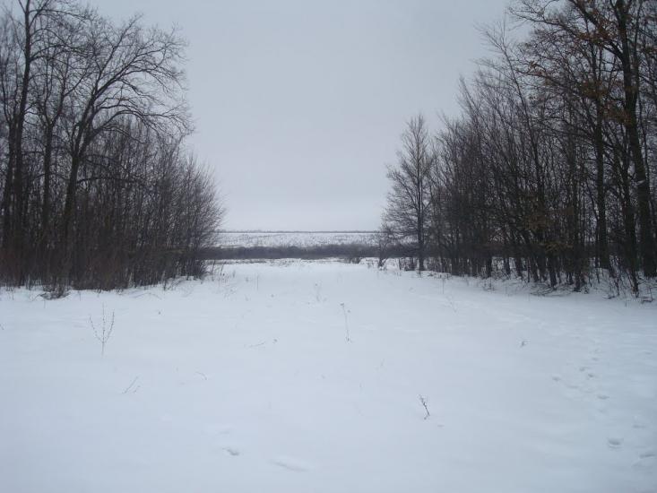 Літки з panoramio.com - Літки