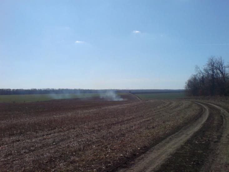 Нестерівці з panoramio.com - Нестерівці