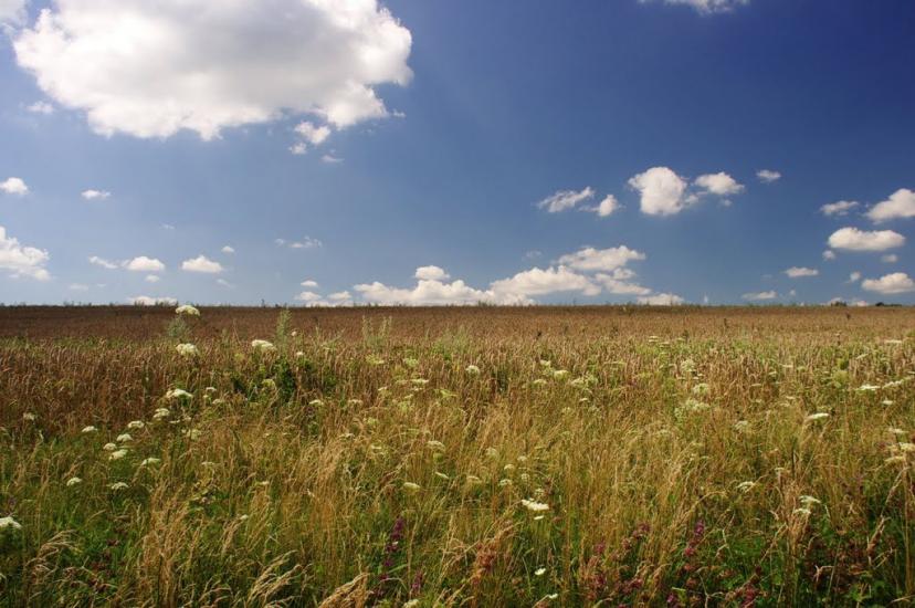 Браїлівка з panoramio.com - Брайловка