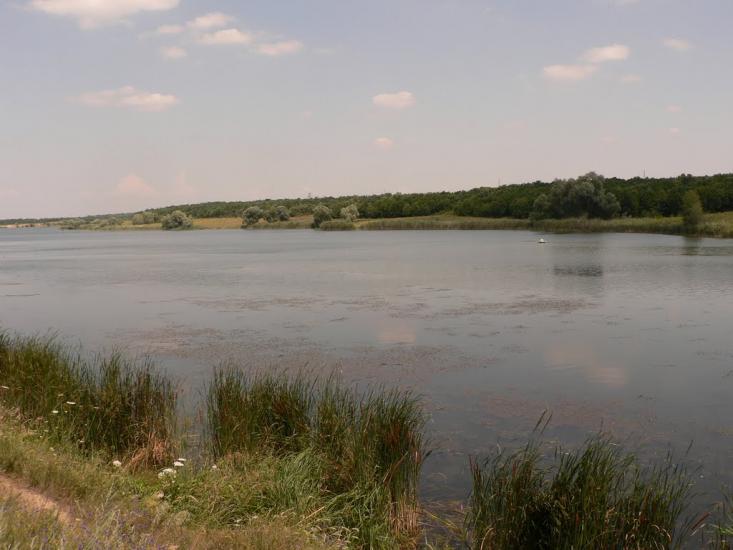 Лутугине з panoramio.com - Лутугино