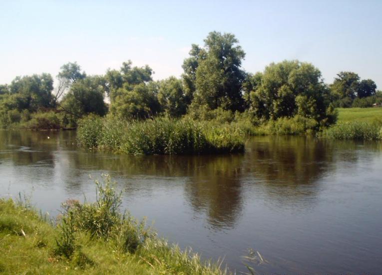 Рокитне з panoramio.com - Ракитное