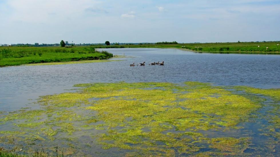 Ремчиці з panoramio.com - Ремчиці